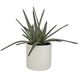 Taos Green with Ivory and Beige Glaze Aloe Centerpiece