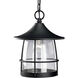 Prairie 1 Light 10 inch Gilded Iron Outdoor Hanging Lantern 