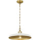 Crowne 1 Light 16.00 inch Pendant