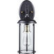 Blues 1 Light 16 inch Rubbed Oil Bronze and Antique Brass Outdoor Wall Lantern