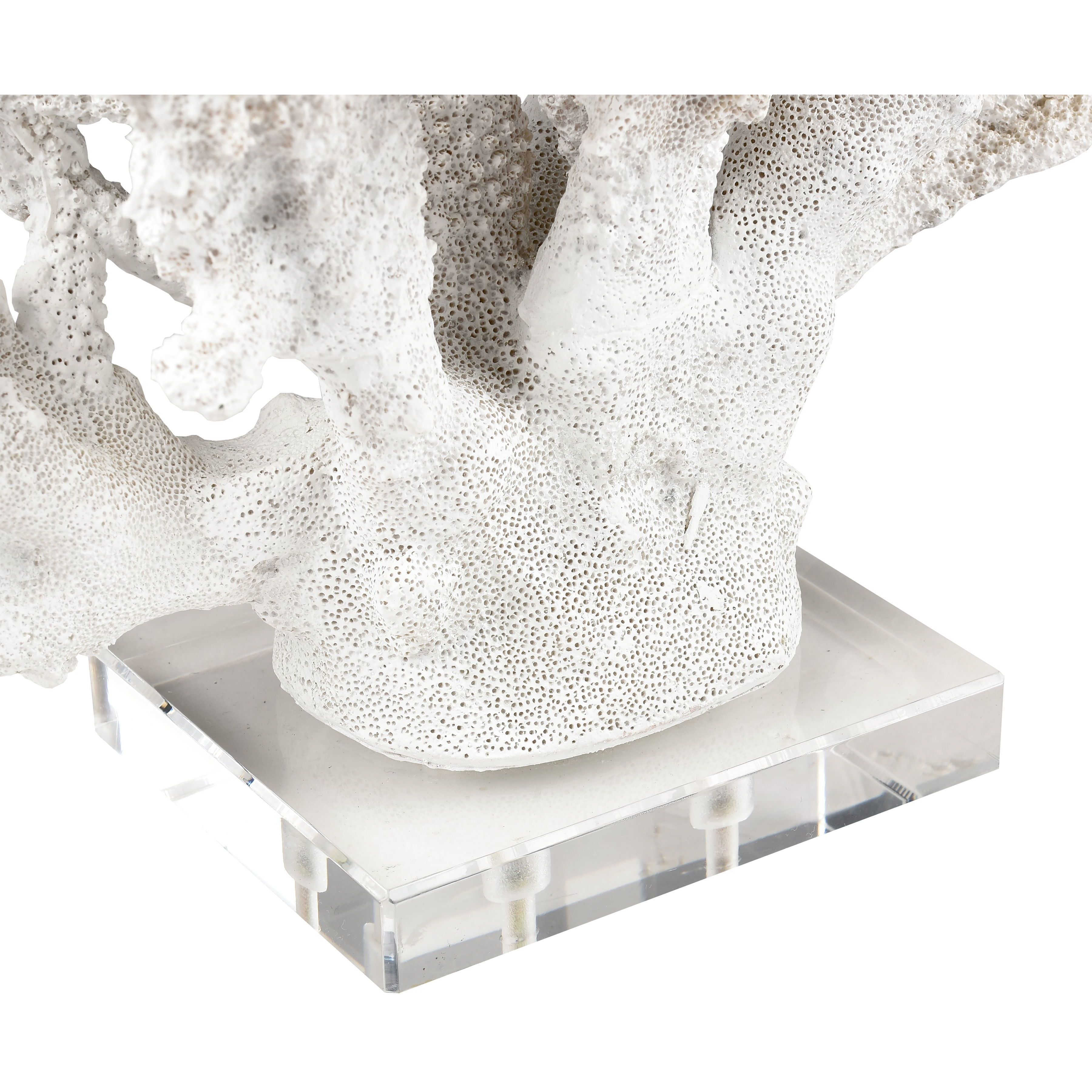 Coral 11.75 X 8.25 inch Sculpture, Set of 2