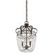 Rochelle 2 Light 12 inch New Tortoise Shell with Silver Pendant Ceiling Light