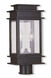 Princeton 2 Light 5.50 inch Post Light & Accessory