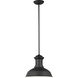 Fredricksburg 1 Light 13.25 inch Black Outdoor Pendant