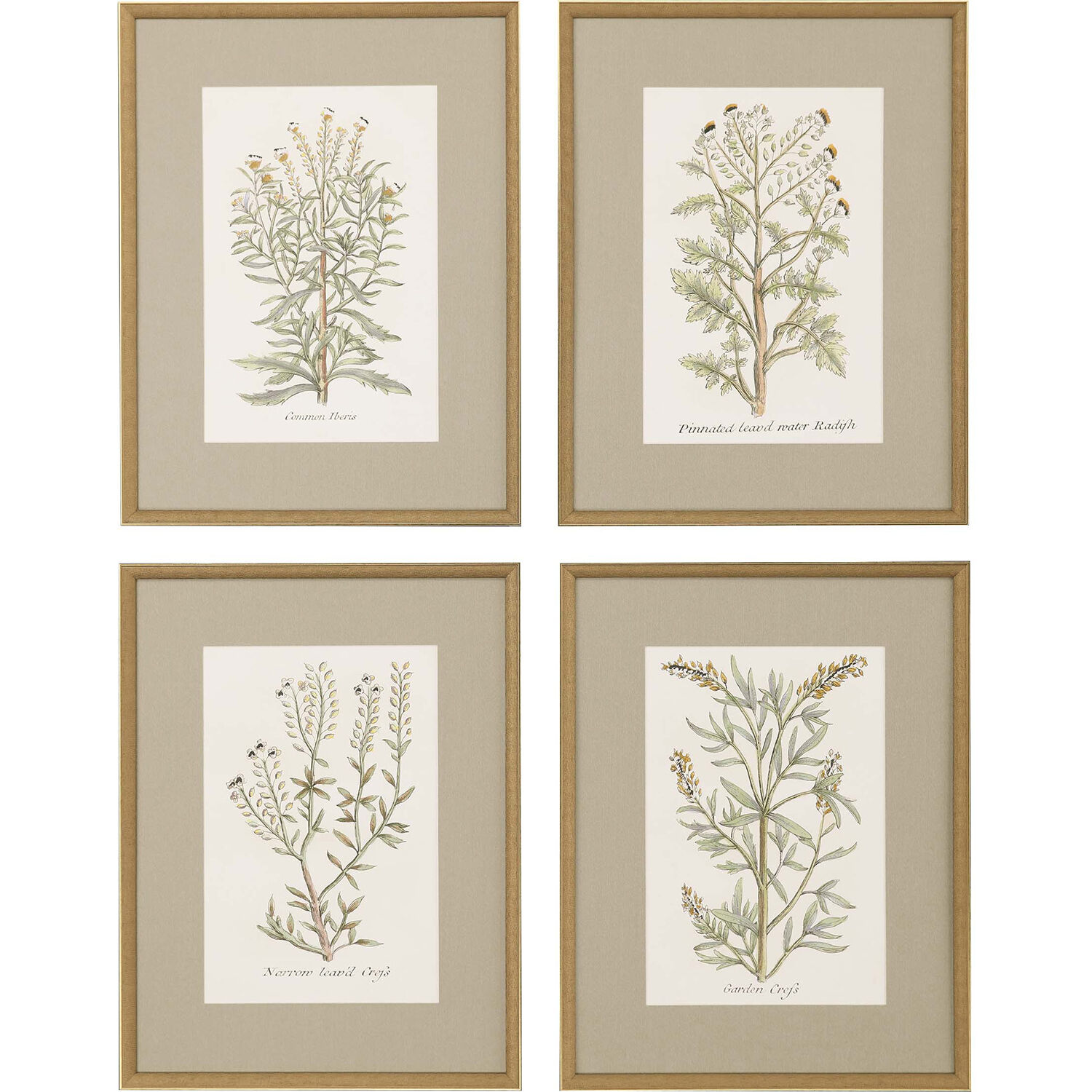 Florals Green and Yellow and Beige and Neutral Framed Art