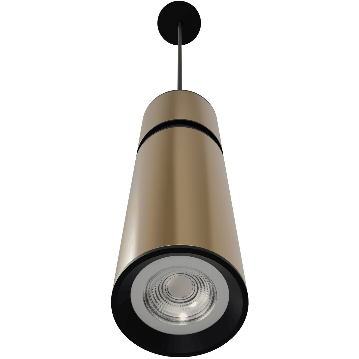 Cicada LED 3 inch Smooth Brass with Black Pendant Ceiling Light