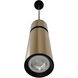 Cicada LED 3 inch Smooth Brass with Black Pendant Ceiling Light