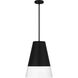 Peregrine 1 Light 14 inch Brushed Black Mini Pendant Ceiling Light