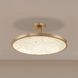 Courtney LED 24 inch Champagne Gold Convertible Pendant Ceiling Light