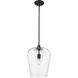 Joliet 1 Light 12 inch Matte Black Pendant Ceiling Light