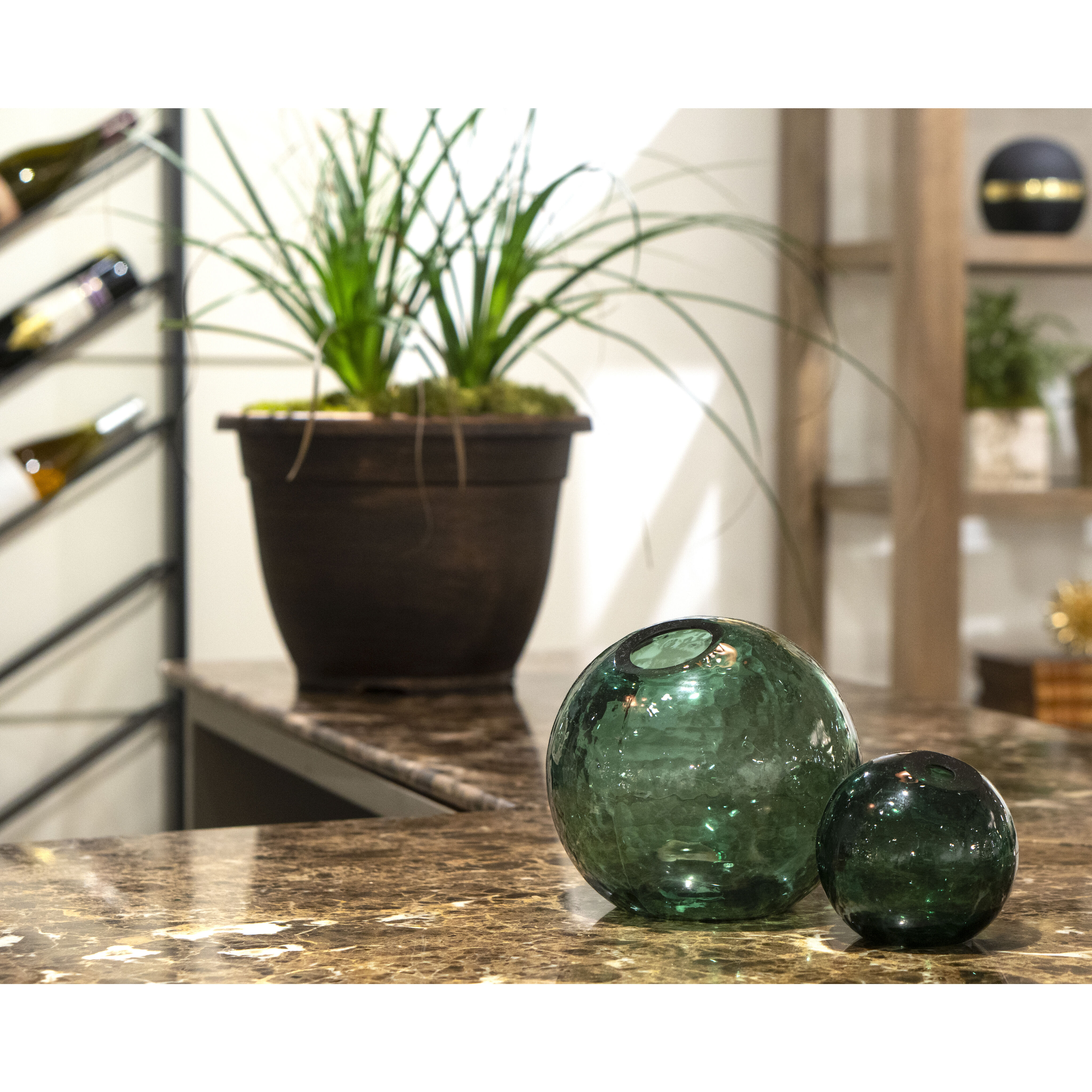 Calla 6.5 X 6 inch Vase