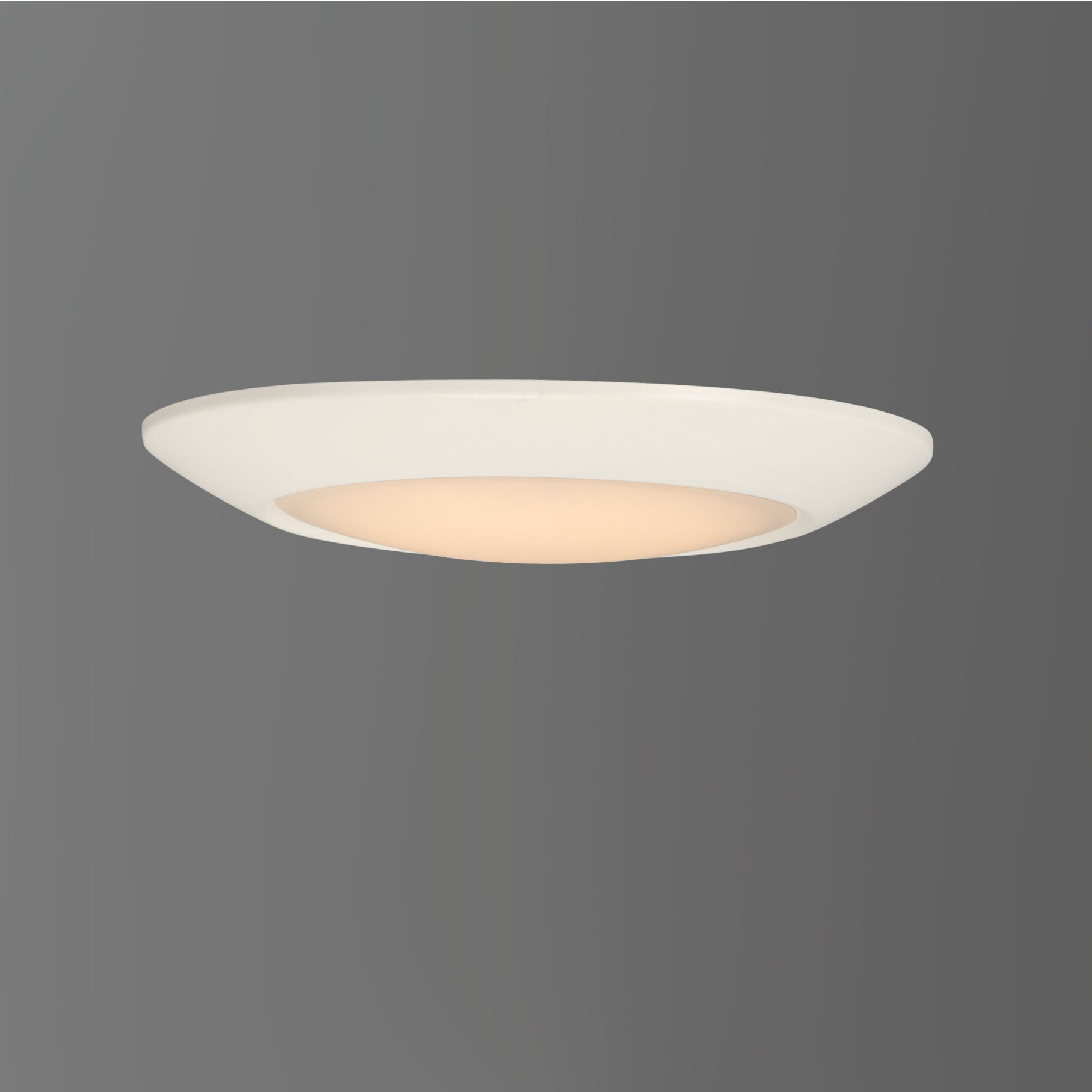 Diverse LED LED 9 inch White Flush Mount Ceiling Light