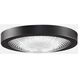 Spitfire LED Black Fan Light