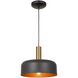 Orsa LED 11.5 inch Black and Brushed Brass Pendant Ceiling Light