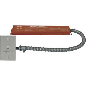 Aaliyah Unfinished Exit / Emergency Ceiling Light