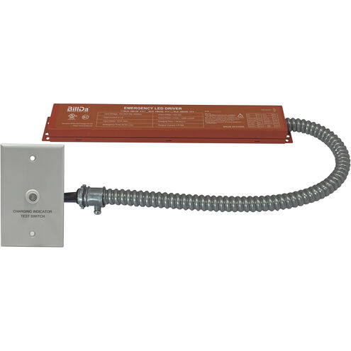 Aaliyah Unfinished Exit / Emergency Ceiling Light