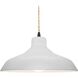 Radiance LED 15.5 inch Bisque and Matte Black Pendant Ceiling Light