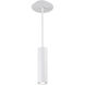 Caliber LED 2.69 inch White Outdoor Pendant, dweLED