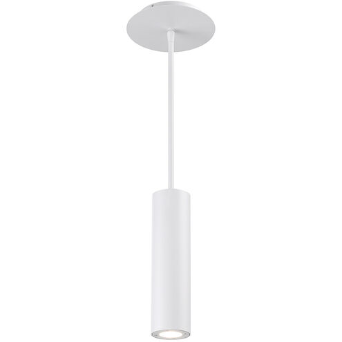 Caliber LED 2.69 inch White Outdoor Pendant, dweLED