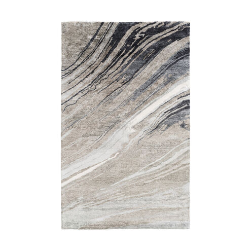 Albany 96 X 60 inch Charcoal Rug, Rectangle