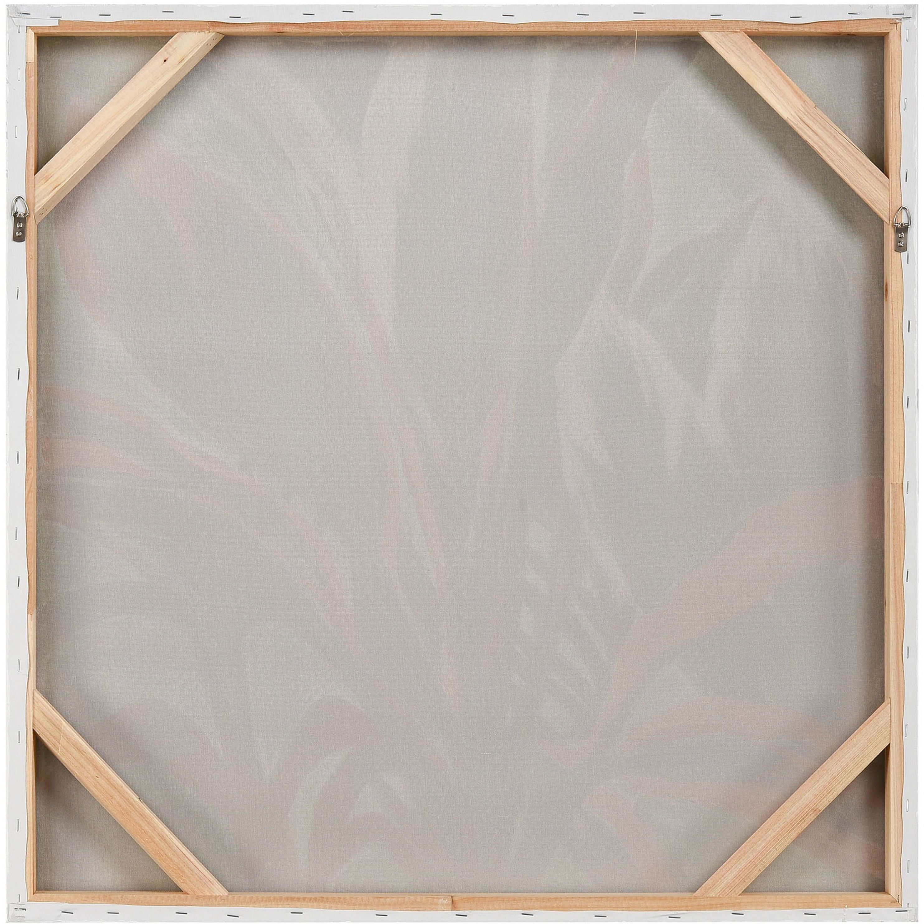 Variegate Green with Coral Framed Wall Art