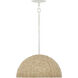 Dalia 1 Light 20 inch Textured Plaster Pendant Ceiling Light, Pendant