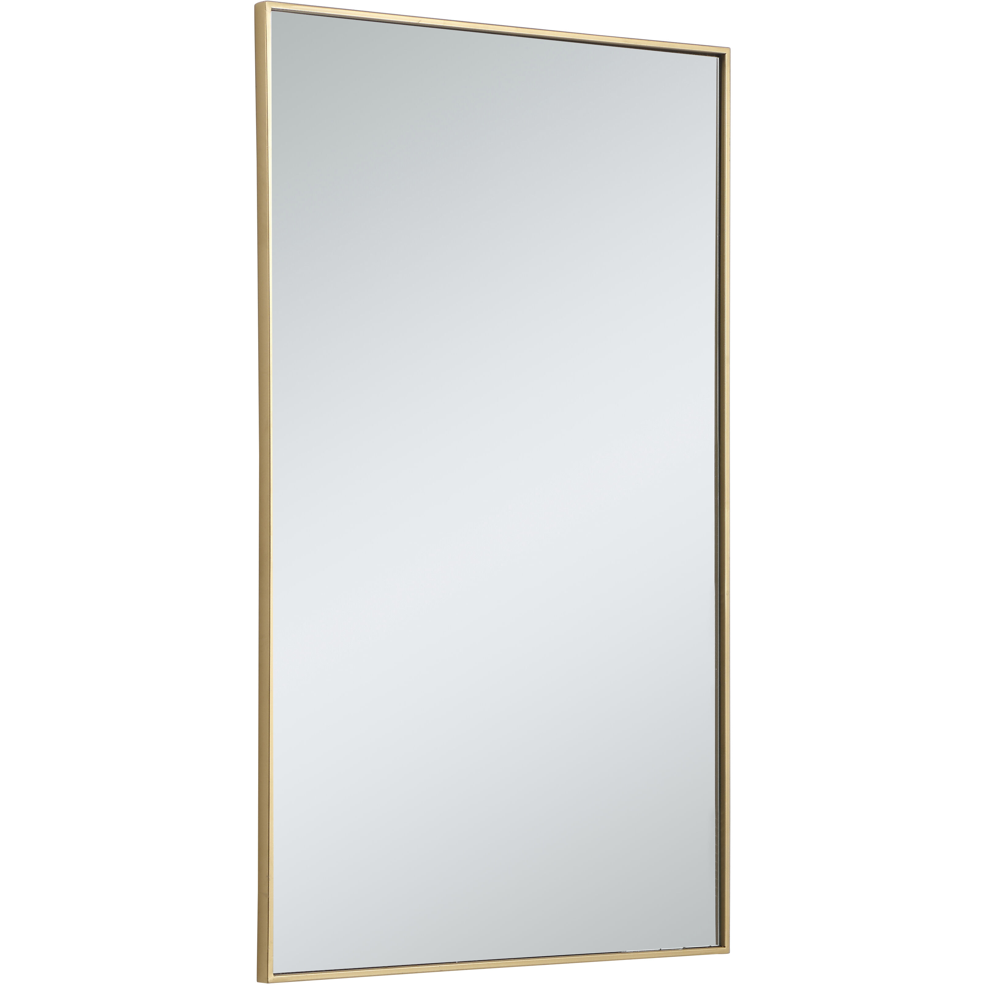 Monet 48 X 30 inch Brass Wall Mirror