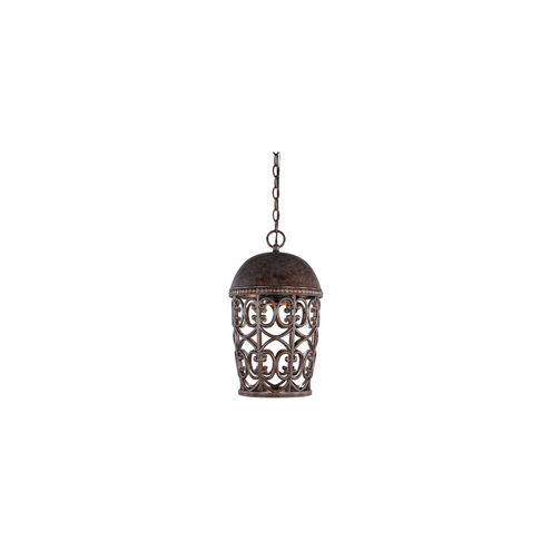 Amherst 1 Light 10 inch Burnt Umber Outdoor Hanging Lantern