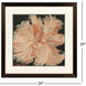 Secret Garden I Red and Pink and Brown and Beige Framed Art, Propac