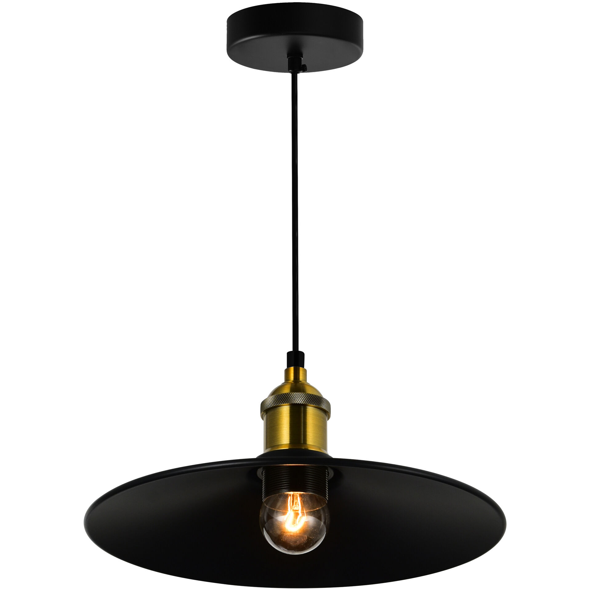 Brave 1 Light 10 inch Black Mini Pendant Ceiling Light