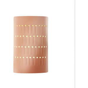 Ambiance LED 9.25 inch Gloss Blush Outdoor Wall Sconce