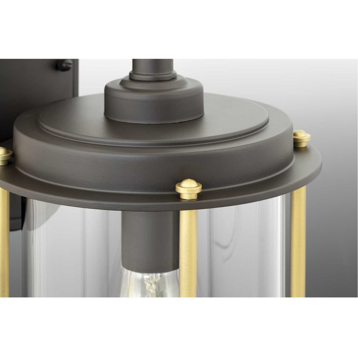 Laine 1 Light 9.75 inch Architectural Bronze Outdoor Hanging Lantern