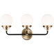 Ian K. Fowler Cafe LED 21.75 inch Satin Brass Wall Bath Fixture Wall Light