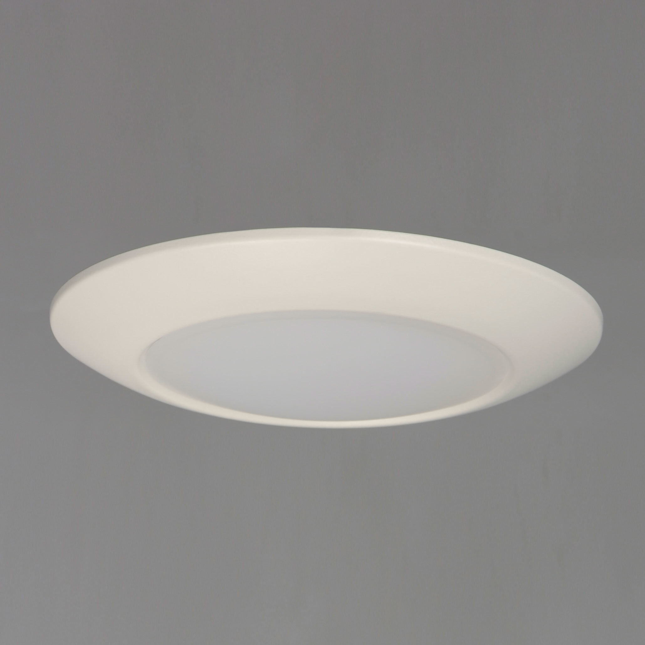 Diverse LED LED 11 inch White Flush Mount Ceiling Light