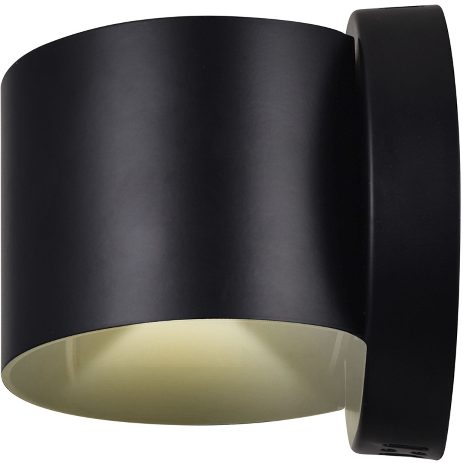 Lilliana LED 5 inch Black Wall Light
