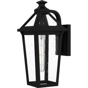 Boulevard Outdoor Wall Lantern, Medium