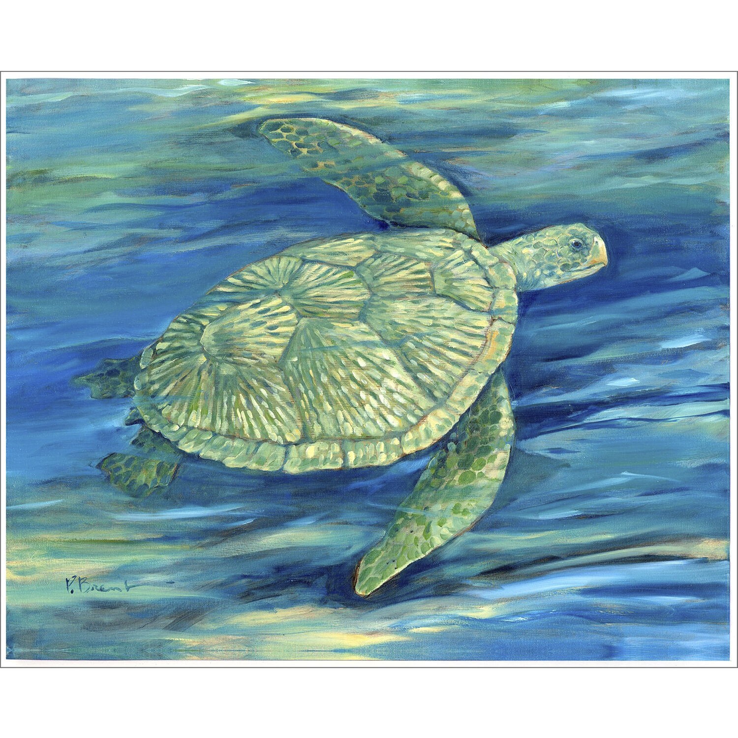 Lagoon Turtle Green and Blue Canvas, Propac
