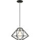 Geometric 1 Light 14 inch Black Pendant Ceiling Light
