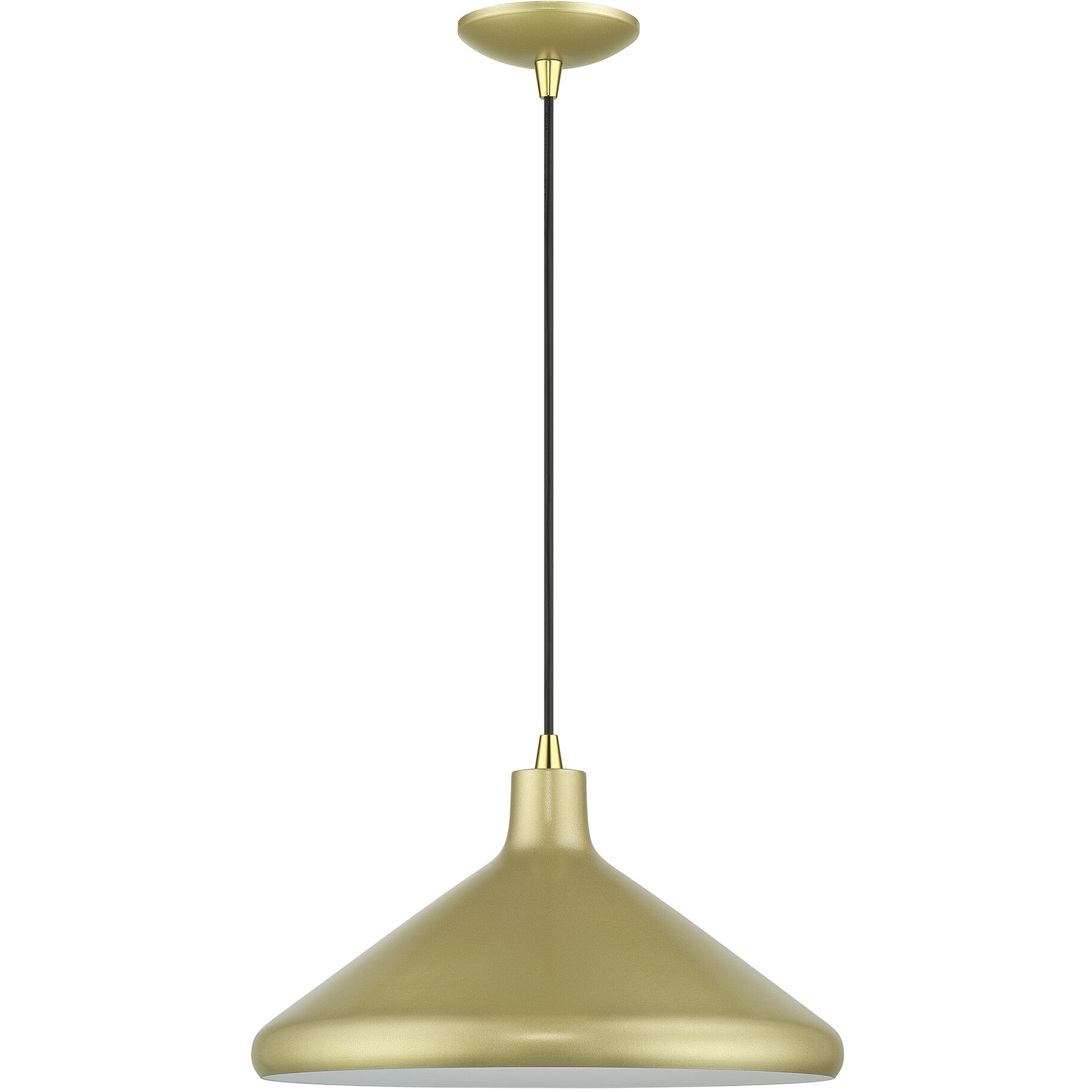 Geneva 1 Light 15.25 inch Soft Gold with Polished Brass Accents Pendant Ceiling Light