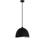 Eclos 1 Light 15.75 inch Sand Coal With Gold Leaf Inside Pendant Ceiling Light