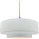 Radiance 1 Light 14.5 inch Gloss White and Brushed Nickel Pendant Ceiling Light