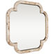 Swiss 50 X 50 inch Poplar Burl with Weathered Brass Wall Mirror, Varaluz Casa