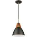 Tote LED 9 inch Black Pendant Ceiling Light