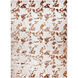 Sibel 90 X 63 inch Gold Rug in 5 x 7