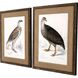Animals Collection Dark Wood Molding With Antique Bronze Wash And Embossed Nail Head Pattern Framed Art