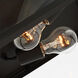 Founders 2 Light 11.5 inch Black Outdoor Flush Mount