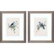 Animals Collection Blue Framed Art