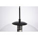 Placido 1 Light 16 inch Black and Clear Pendant Ceiling Light