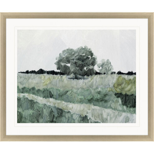 Countryside Ramble Green Framed Art