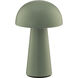 Darla 8.63 inch 2 watt Green Rechargeable Table Lamp Portable Light